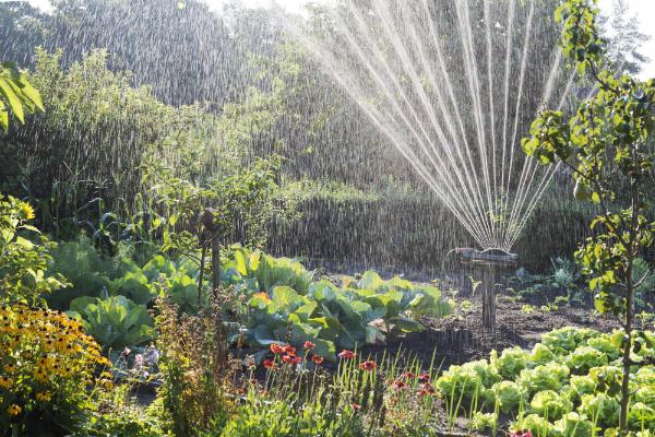 Bewaesserung im Schrebergarten