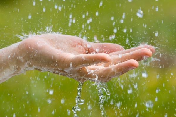 Sauberes Regenwasser