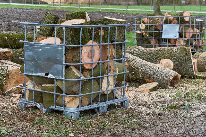 Zum Holztransport sind die Boxen ideal Brennholz in einer IBC Box