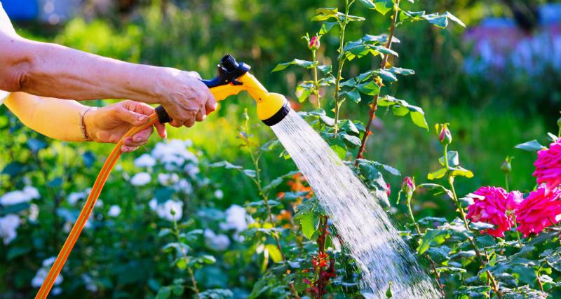 Gartenbewässerung planen