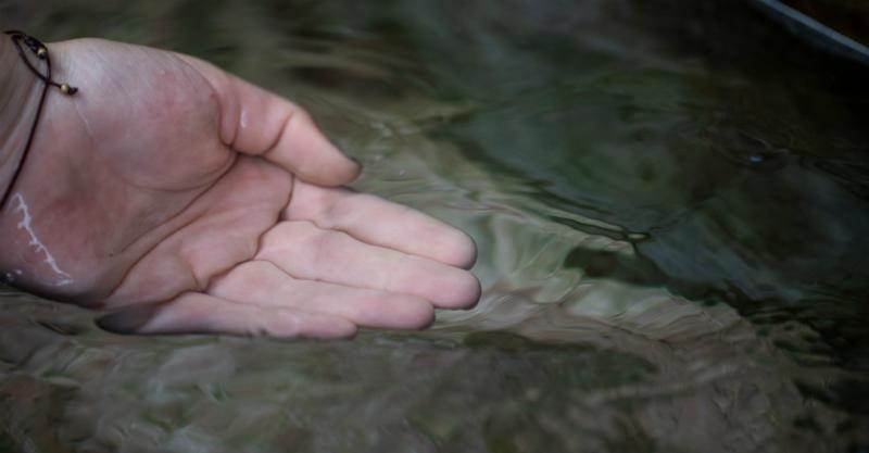 Achten Sie auf die Werte des Wassers, bevor Sie die Fische ansiedeln