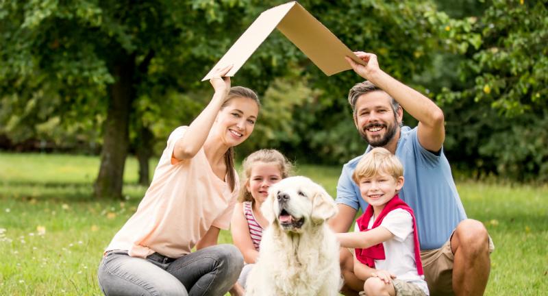 Hundehütte selber bauen