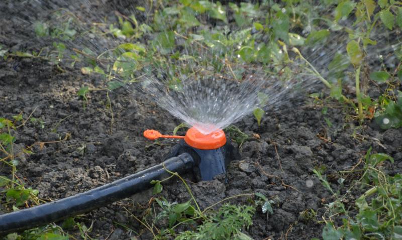 Effektive Regenwassernutzung