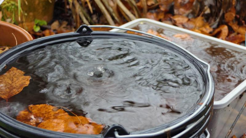 Den Garten umweltfreundlich bewässern