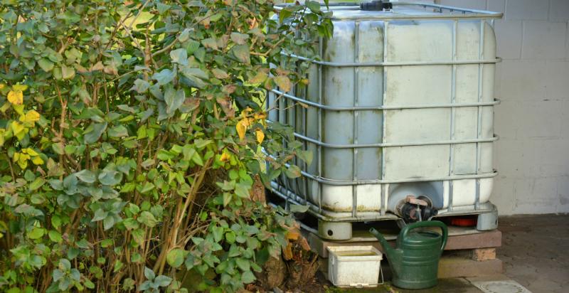 Sauberes Wasser im IBC