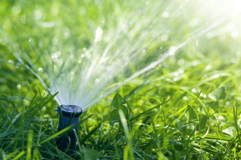 Sauberes Wasser für die Gartenbewässerung