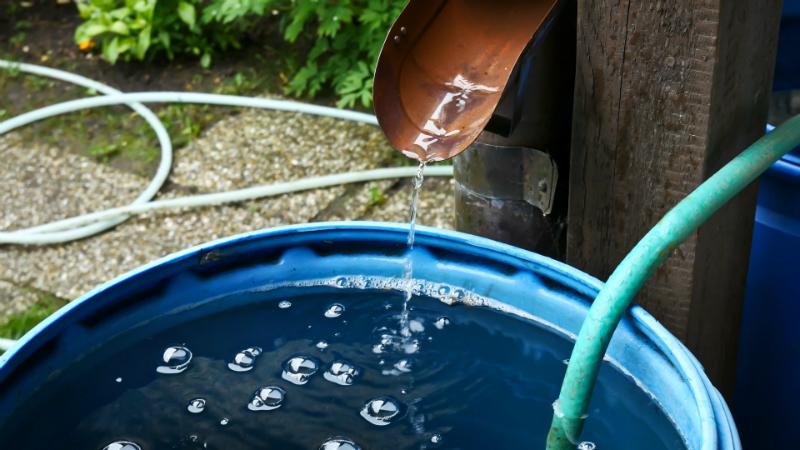 Wasser sammeln in einer Regentonne