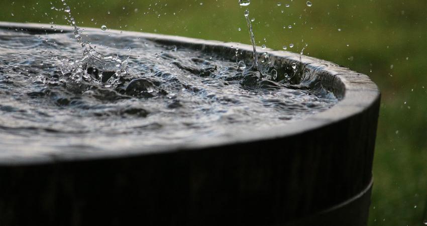 Regenwasser als Brauchwasser verwenden