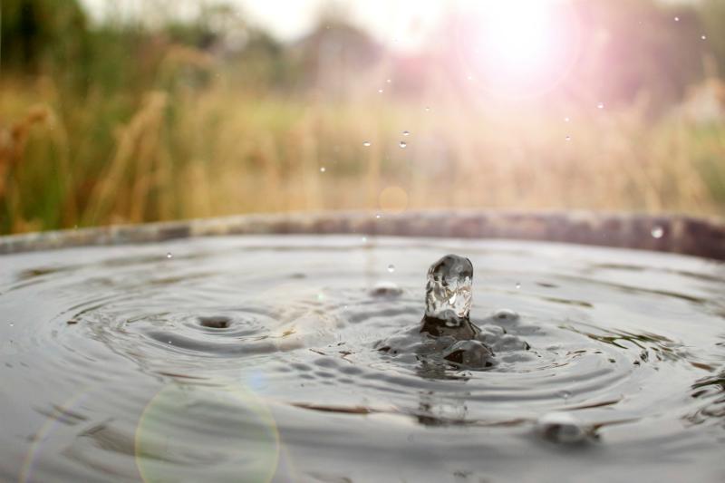 Regenwasser für die Nutzung im Garten