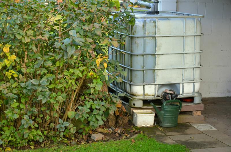 Gebrauchter IBC im Garten