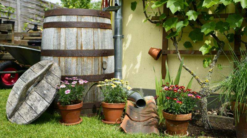 Warum Regentonnen aus Kunststoff praktischer sind als Holzfässer