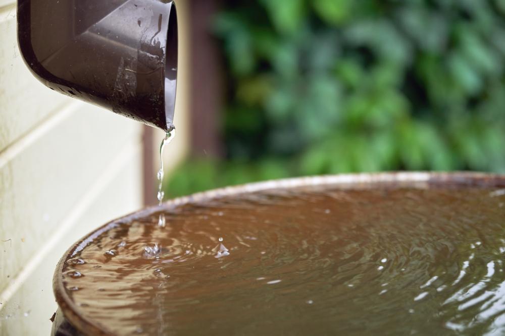 Mit Regenwassersammeln Wasser sparen