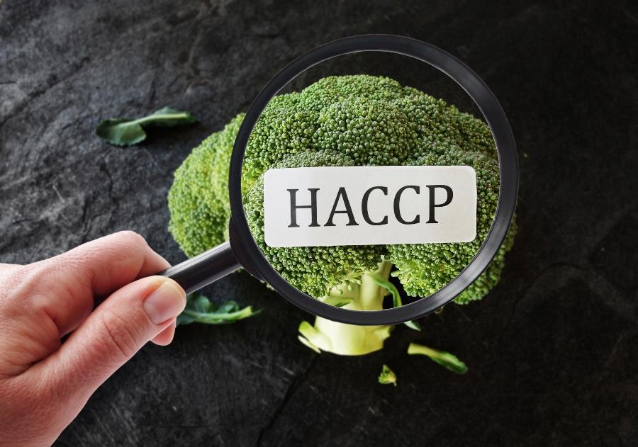 haccp-lebensmittelindustrie-hazard-analysis-critical-control-points