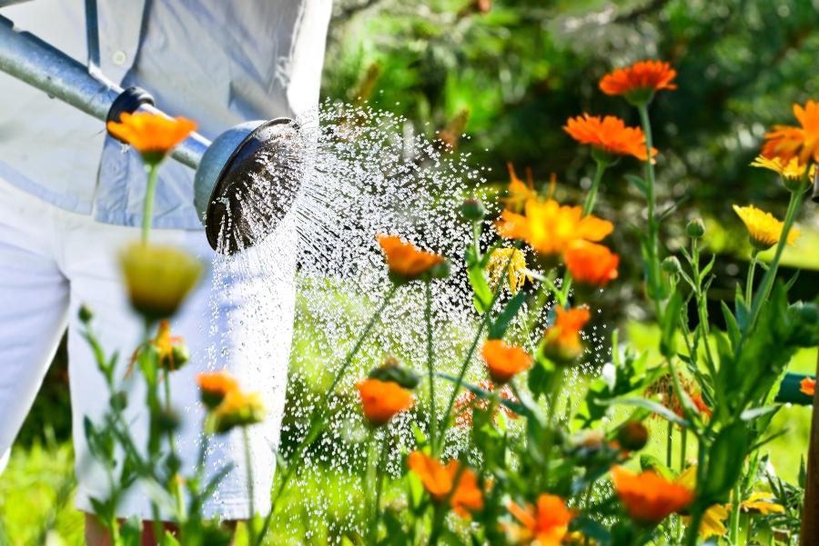 blumen-giessen-niederschlag-messen