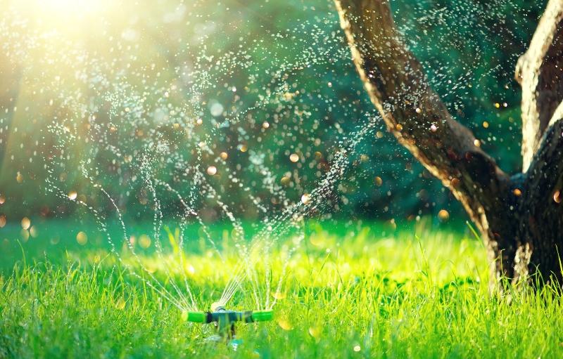 smart-garden-mit-vollautomatisches-sprinkler-bewaesserungssystem