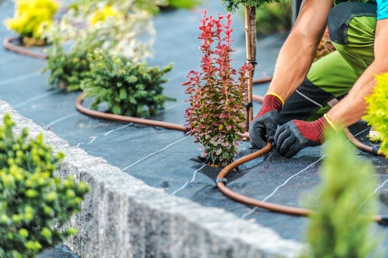 tropfrohr-beregnungstechnik-im-garten