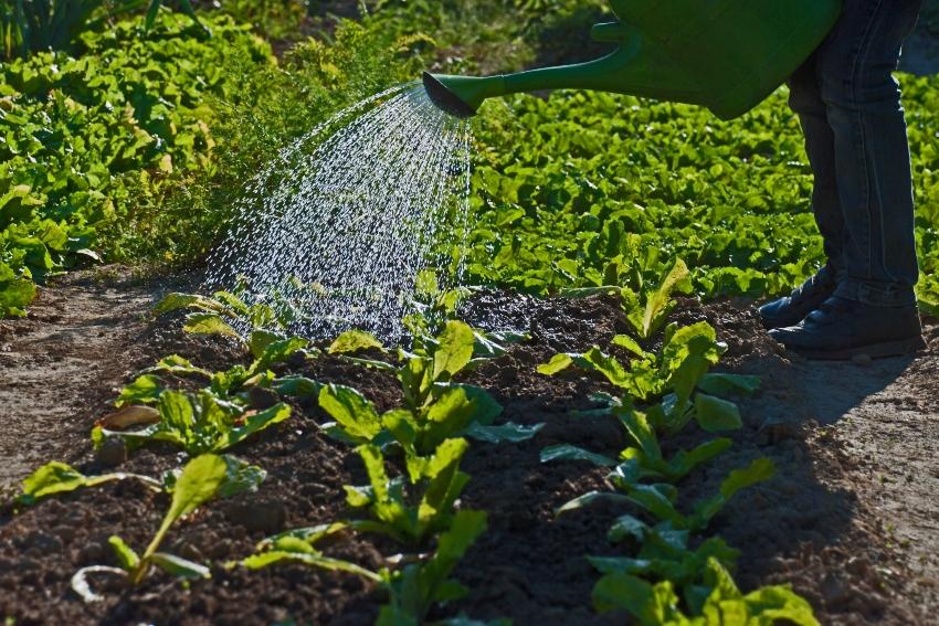 Nutz- und Brauchwasser zur Gartenbewaesserung