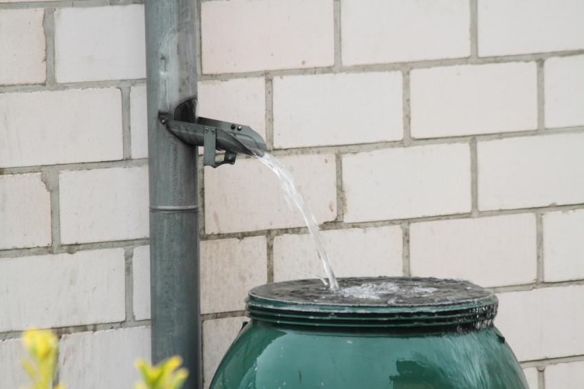 Aus einem Fallrohr läuft Wasser in eine Regentonne, die bereits gut gefüllt ist. Regenwassersammler am IBC anschließen