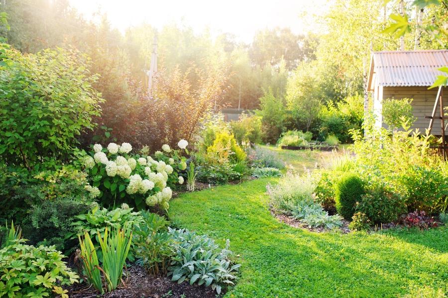 garten-sommer-bewaesserungsanlage-bauen-garten