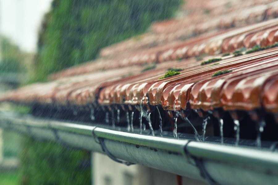 IBC Überlaufschutz – Regenwasser sicher und bequem sammeln und nutzen