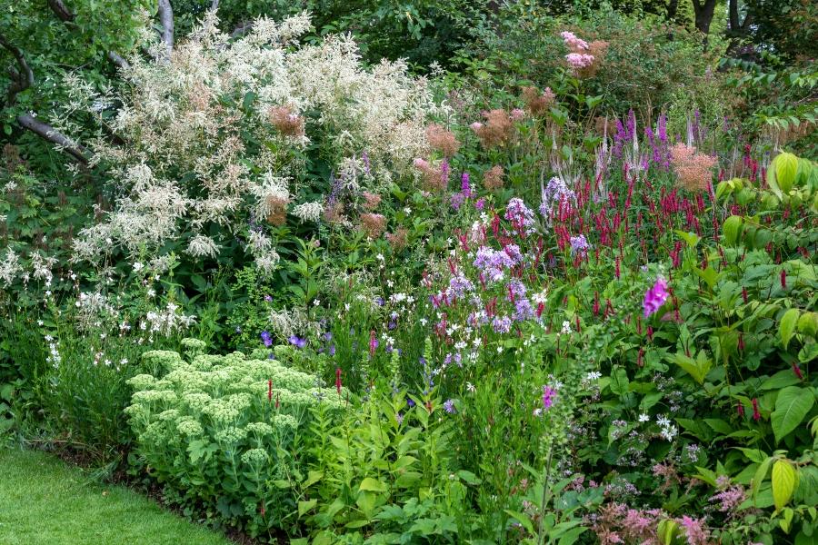 Staudenbeet im Sommer bewaesserung-fuer-strauchbeet