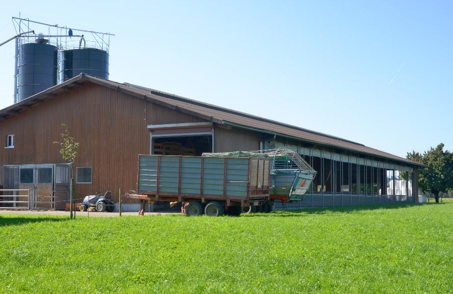 Bauernhof mit Silo und Stall ibc-auf-dem-bauernhof