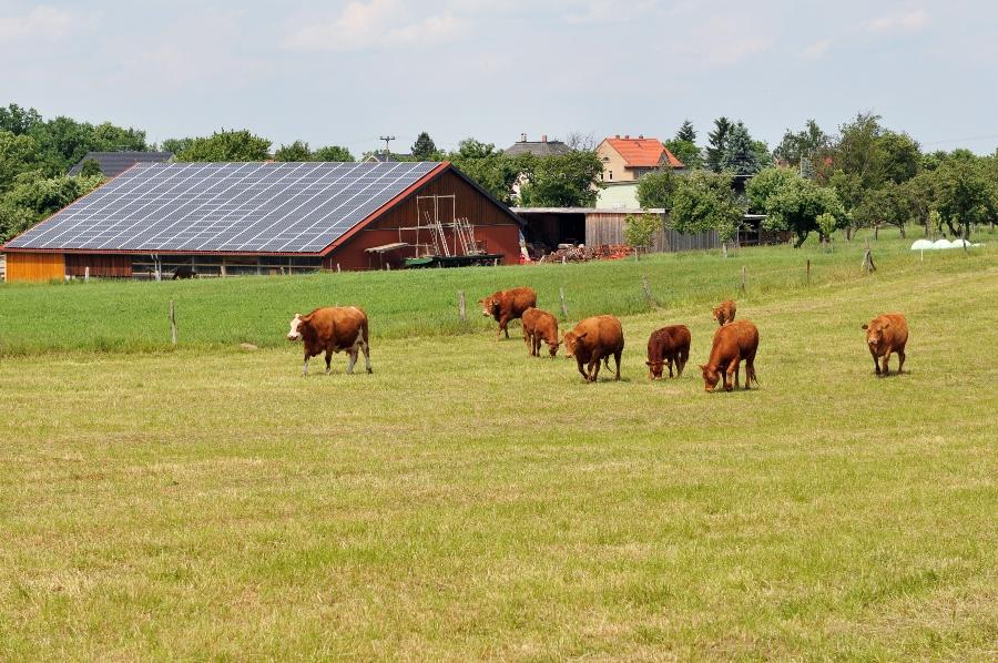 IBC auf dem Bauernhof