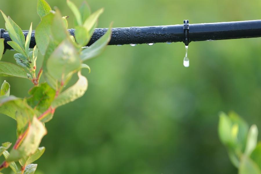 Tropfleitungen für die Gartenbewässerung