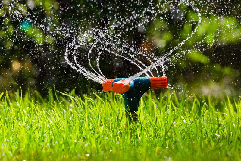 Sprinkleranlage, betrieben durch eine Wasserpumpe für die Gartenbewässerung