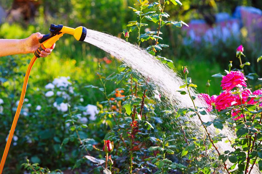Gartenschlauch-Bewässerung - besonders praktisch mit einer Zisternenpumpe