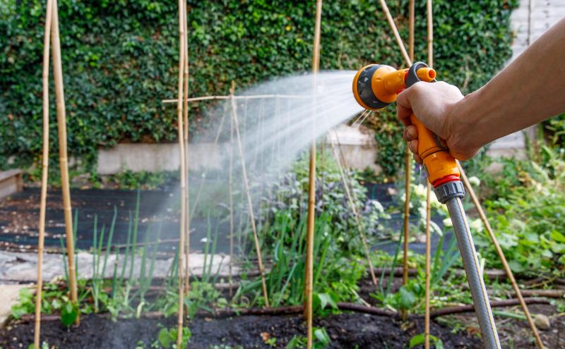 Garten wird mit Schlauch bewässert