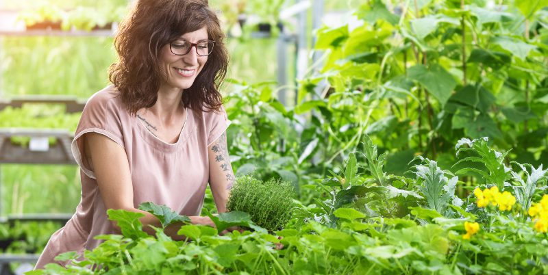 Frau beim Kräuterbeet anlegen