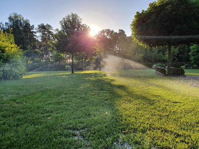 Garten mit Bewässerungsanlage