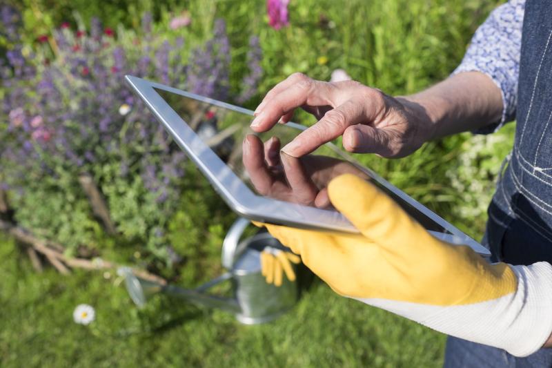 Automatische Gartenbewässerung