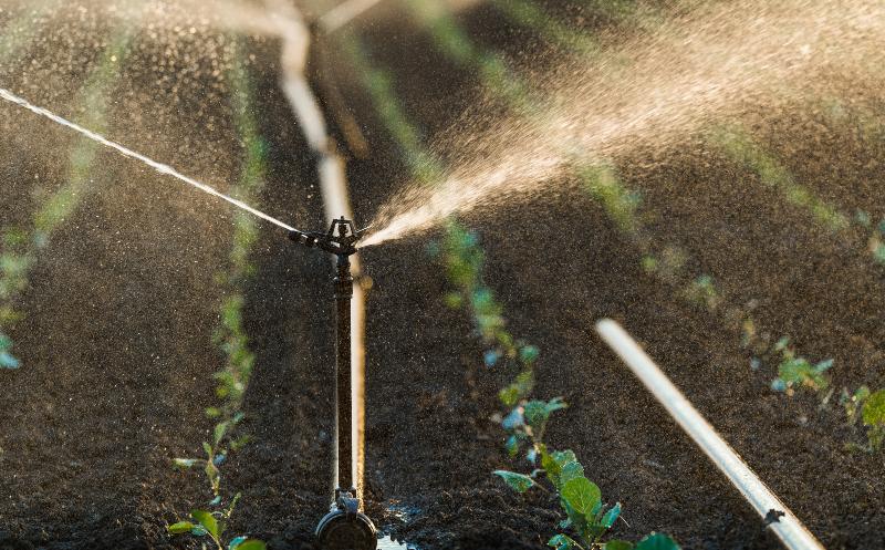 Rain Bird Bewasserung Rekubik Magazin