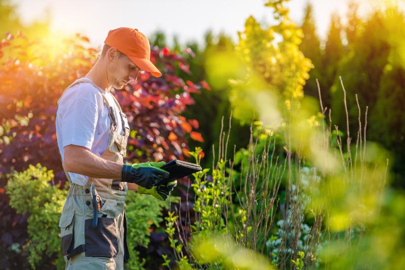 Mann mit Laptop im Garten - Bewässerungscomputer im Einsatz