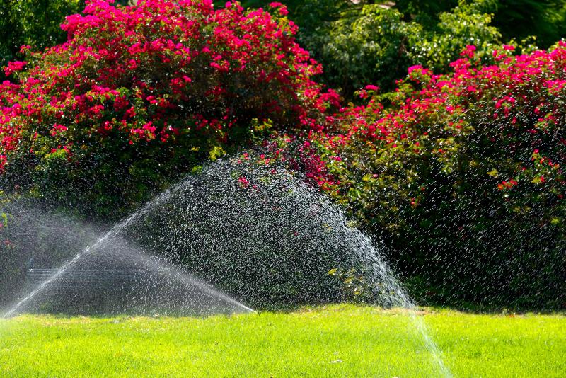 Rasen - Bewässerungssystem 