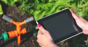 Bewässerungssteuerung mit Regensensor von Rain Bird