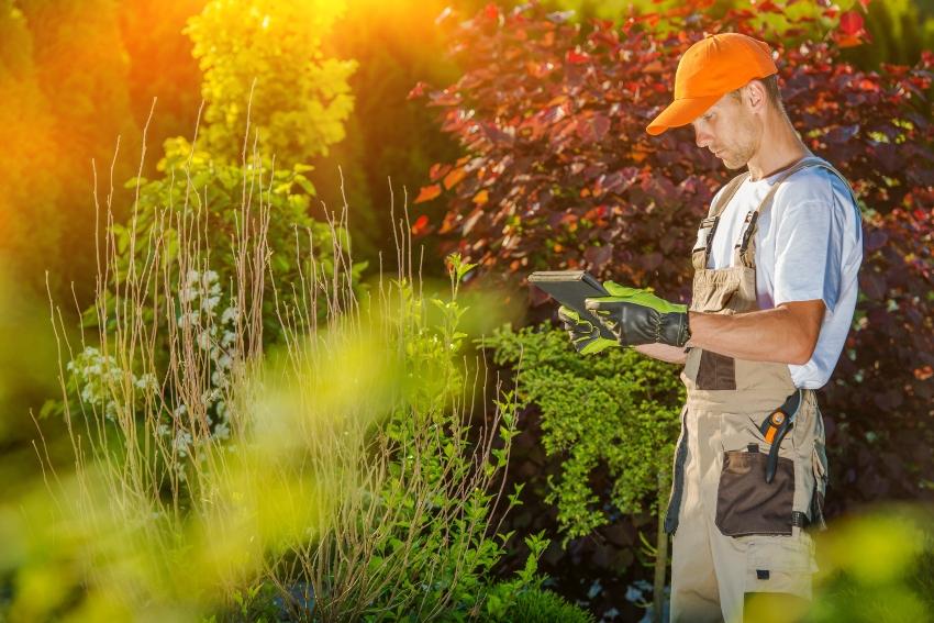 Gärtner steht mit Computer im Garten - Bewässerungssteuerung mit Regensensor von Rain Bird