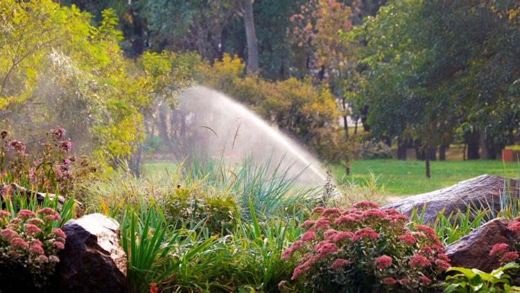 Automatisches Beregnungssystem bewässert den Garten - Die richtige Urlaubsbewässerung