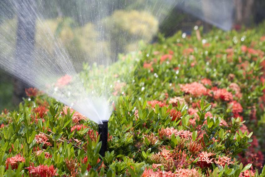 Getrieberegner zur Bewässerung von Blumenbeet