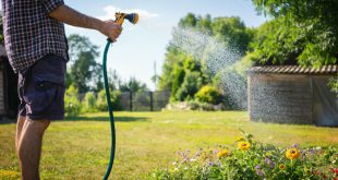 Gartenbewässerung mittels Der IBC Container mit Schlauchanschluss