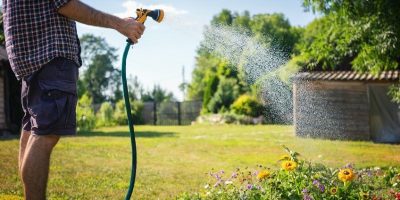 Gartenbewässerung mittels Der IBC Container mit Schlauchanschluss