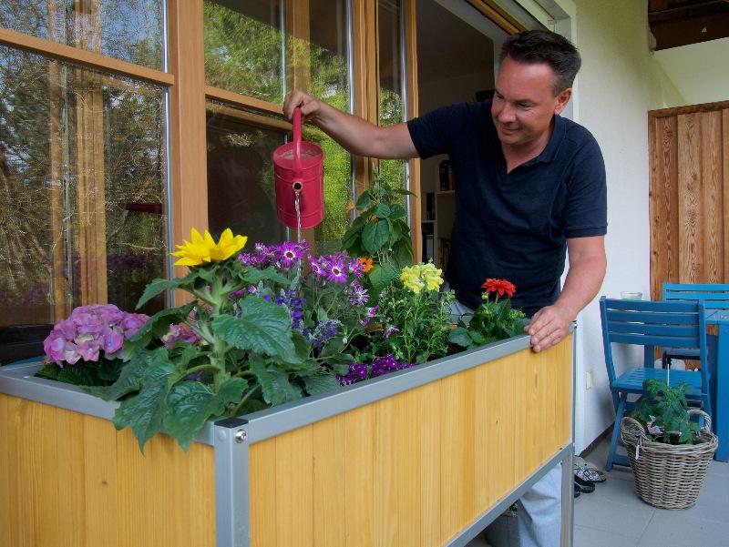 Mann gießt Blumen am Hochbeet 