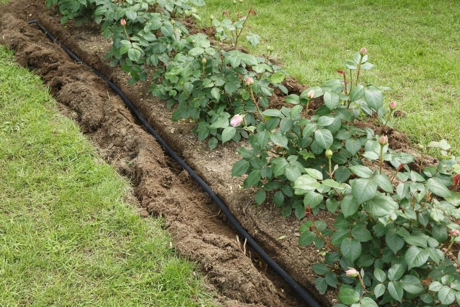 oberirdische-oder-unterirdische-bewaesserung-im-blumenbeet Gartenbewässerung