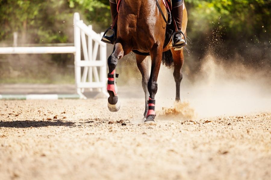 Staubbildung auf dem Reitplatz Beregnungsanlage für den Reitplatz