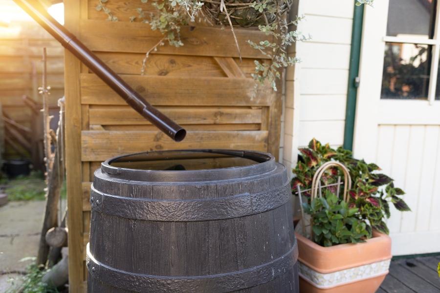 Bewaesserung im Garten Regenwasser im Fass auffangen Regenwasser sammeln