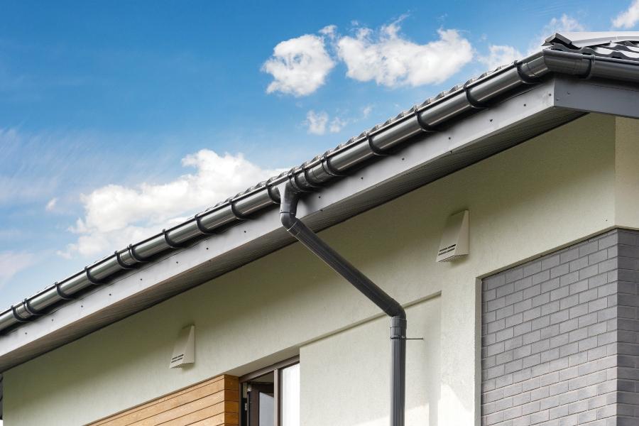 Mit Wasserdieb und IBC-Container Regenwasser sammeln