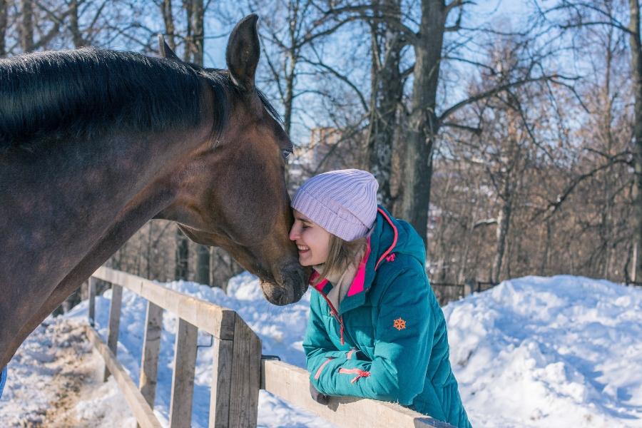 auch-im-winter-ausreichend-wasser-pferd