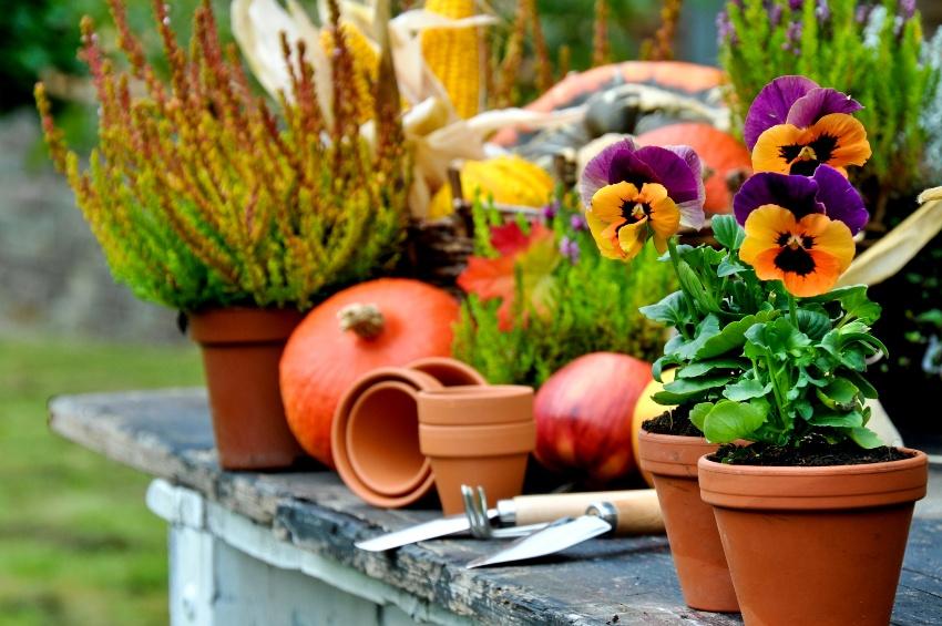 Blumentöpfe im Garten - Bewässerungssysteme für Blumentöpfe